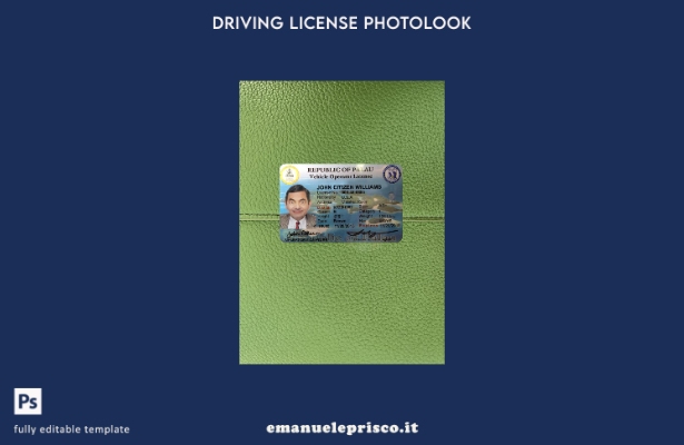 modello photolook lato anteriore della patente di guida Palau in stile verificat